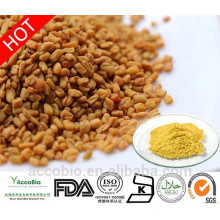 100% Natural High Quality Fenugreek Seed Extract Powder 4-hydroxyisoleucine 5% in Bulk